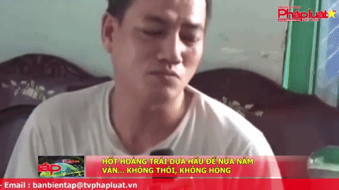 Hốt hoảng trái dưa hấu để nửa năm vẫn... không thối, không hỏng