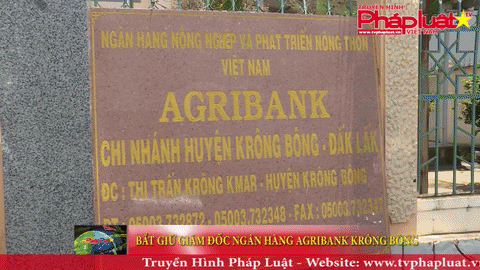 Bắt giữ giám đốc ngân hàng Agribank Krông Bông