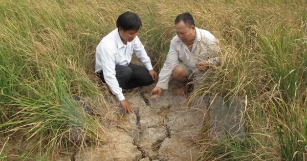 Điểm báo 06/08/2017: Sai phạm tiền tỉ nhiều cán bộ chỉ bị khiển trách, rút kinh nghiệm