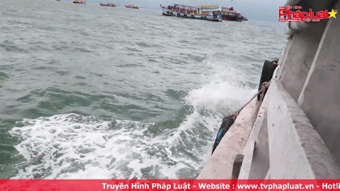 Những chuyến tàu “không áo phao” tại Cần Giờ