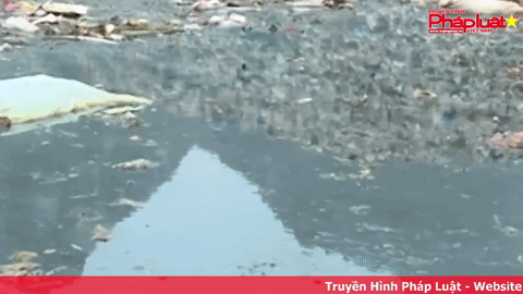 Thanh Hóa: Xử lý rác hay gây ô nhiễm môi trường