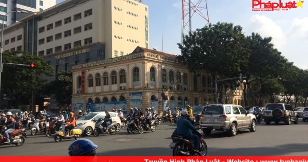 Chi 7,3 tỷ đồng xử lí 258 cây xanh đường Tôn Đức Thắng