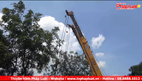 Xe đầu kéo đâm vào gốc cây rơi xuống mương sâu