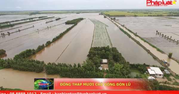 Đồng Tháp Mười chủ động đón lũ