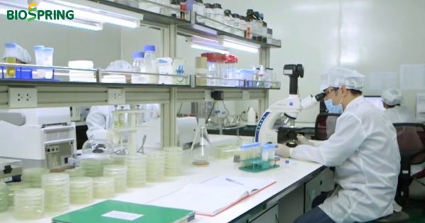 Hiệu quả của phương pháp cải tạo đất theo công nghệ Nhật Bản