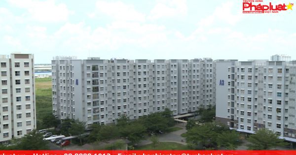 Bụi vải tấn công hơn 6000 “lá phổi’ tại khu dân cư