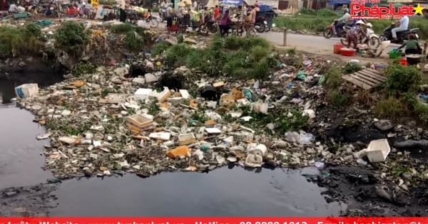 Nguy cơ bùng phát dịch xuất huyết ở các khu vực ô nhiễm do rác