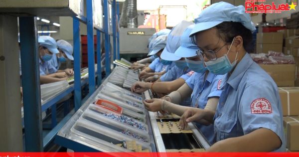 ĐIỆN QUANG TRONG VÒNG XOÁY TIN ĐỒN ĐỘC HẠI : CỔ ĐÔNG LO NHƯNG KHÔNG SỢ (Kỳ 1)