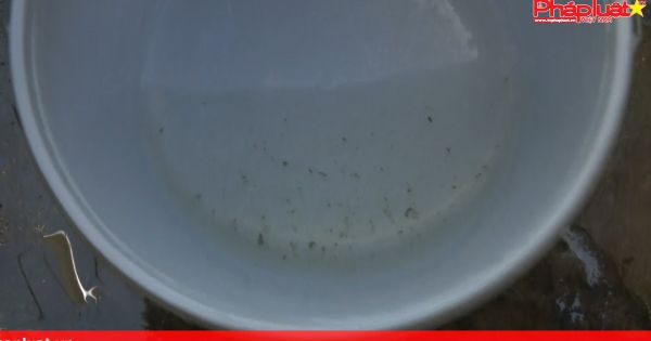 Phan Thiết: Tập trung phòng chống bùng phát sốt xuất huyết