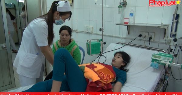 TPHCM: Xử phạt gần 100 trường hợp vi phạm phòng chống sốt xuất huyết