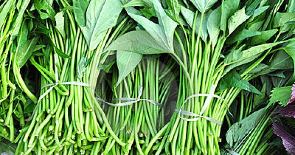 Rau rừng giá tới 120.000 đồng/kg vẫn được chị em săn đón