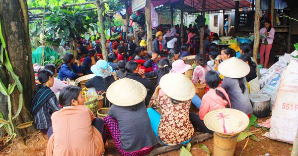 Gia Lai: Trong nửa tháng, một gia đình 3 người chết không rõ lý do