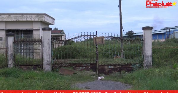 Đồng Tháp: 20 năm 