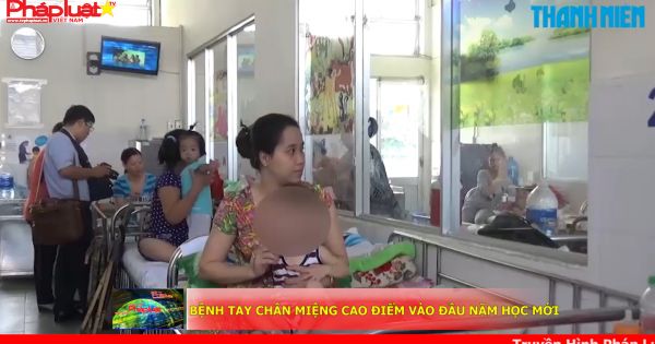 Bệnh tay chân miệng cao điểm vào đầu năm học mới