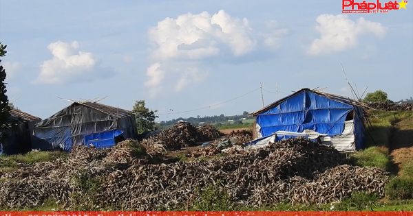 Tình trạng ô nhiễm không khí từ các lò đốt than tự phát