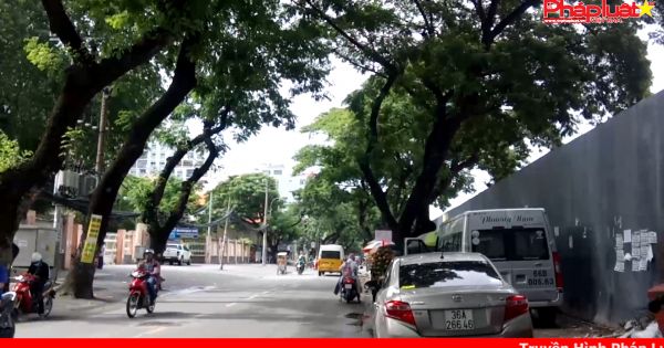 Di dời cây xanh chuẩn bị mở rộng đường vào sân bay Tân Sơn Nhất