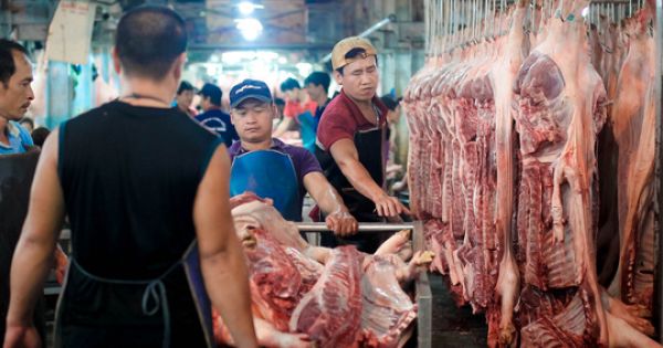 Điểm báo 30/08/2017: Thịt heo muốn vào hai chợ đầu mối sẽ phải có đầy đủ thông tin truy xuất nguồn gốc