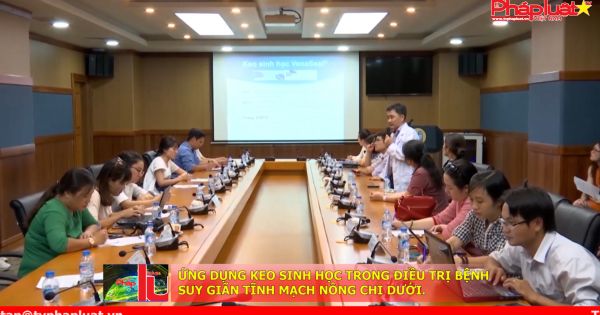 Ứng dụng keo sinh học điều trị bệnh suy giãn tĩnh mạch nông chi dưới
