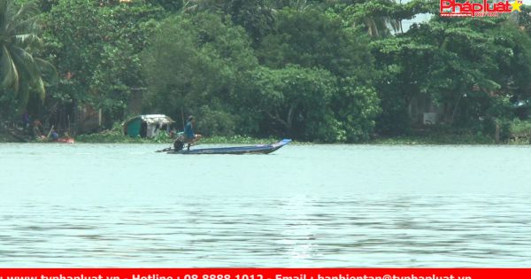 Thả cá phóng sinh: người thả - kẻ giăng lưới, chích điện