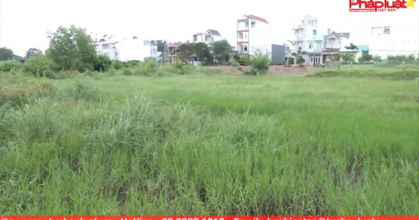 Đồng Tháp: 95 hộ dân với hành trình 13 năm đi tìm công lý?