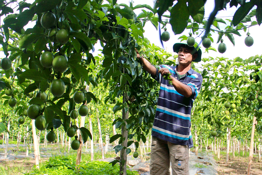 Điểm báo 13/09/2017: 