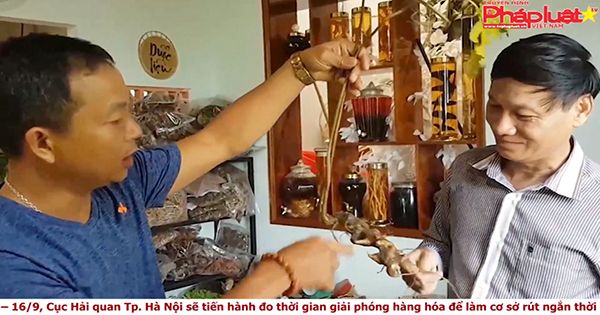 Thị trường hôm nay 13/09/2017