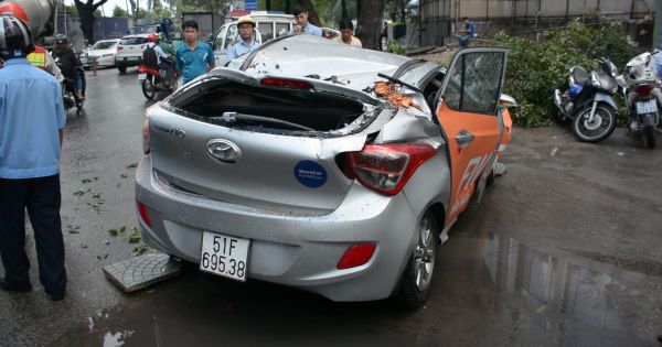 Cây xanh ngã đè ô tô làm một người bị thương