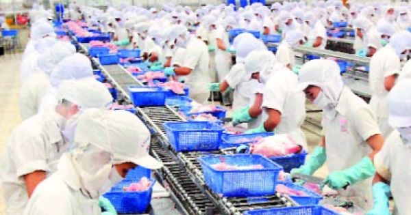 DN muốn tăng năng suất lao động nhưng sợ... tăng lương