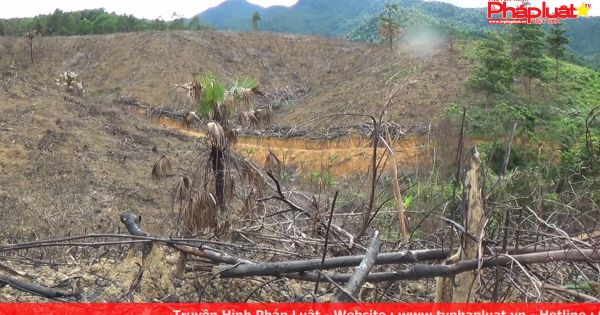 Nghệ An: Rừng tự nhiên bị phá, hàng chục cán bộ bị kỷ luật, cách chức