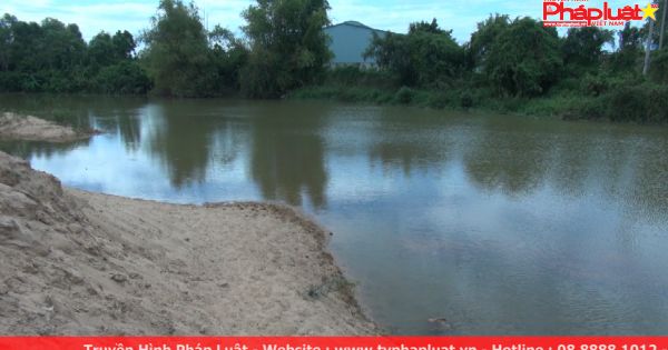 Bình Định: Phá đê sông trái phép, hàng trăm hộ dân bị thiệt hại cây cối, hoa màu