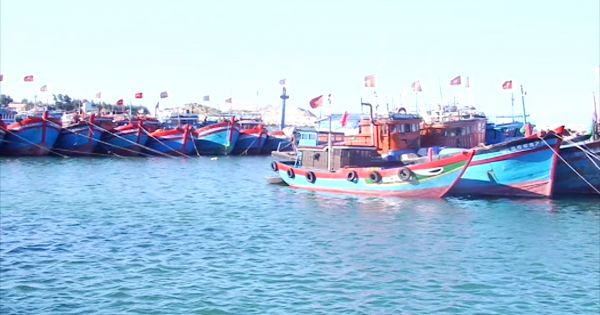 Quảng Ngãi: 70 tỷ đồng hỗ trợ tàu cá đánh bắt vùng biển xa