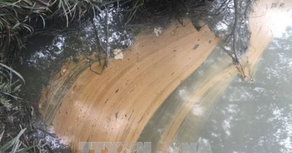 Bình Phước: 800 lít dầu chảy ra suối gây ô nhiễm nghiêm trọng