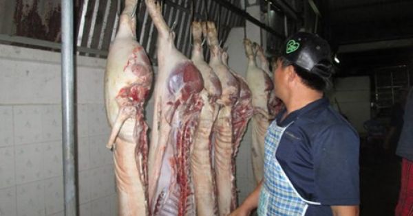 Khốn đốn vì bị vạ lây sau vụ heo tiêm thuốc an thần