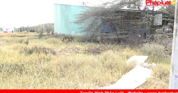 Bình Chánh - TPHCM: Khung cảnh hoang tàn sau sự cố rò rỉ khí amoniac