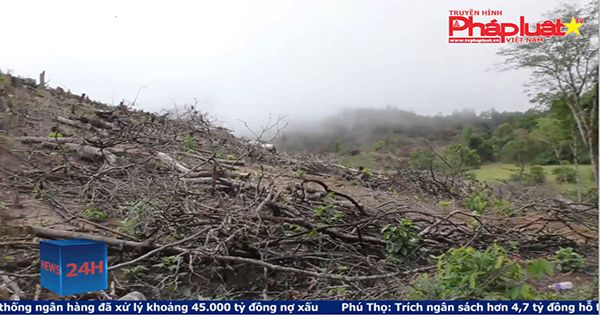 Tin nóng 24h 12/10/2017