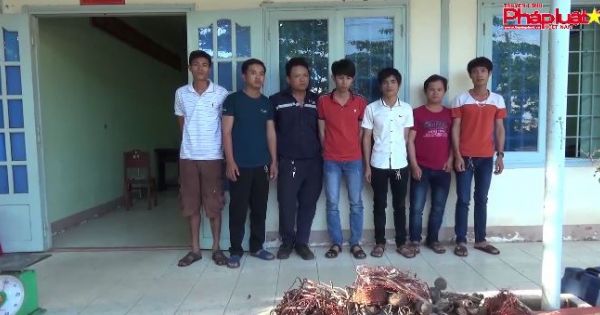 Triệt phá nhóm trộm cắp hành nghề ở khu vực cảng Phú Mỹ