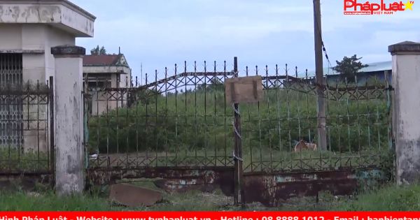 Đồng Tháp: Đất chưa đền bù đã bán đấu giá, ai chịu trách nhiệm ?