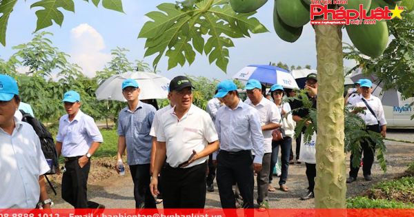 Hội nghị Kiều bào với phát triển nông nghiệp công nghệ cao tại TPHCM 2017