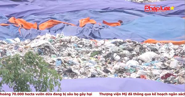 Thị trường hôm nay 23/10/2017