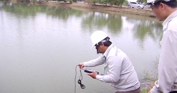 Quảng Ngãi: Lấy mẫu tìm nguyên nhân cá chết hàng loạt ở đập hố chuối