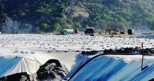 Đất nhiễm mặn vì bãi tro xỉ nhiệt điện Vĩnh Tân 2, dân khốn đốn