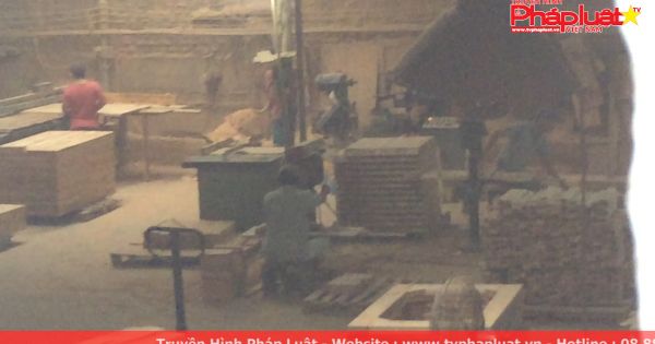 Người dân kêu trời vì xưởng gỗ “không tên” gây ô nhiễm