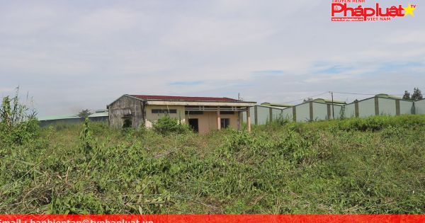 Kỳ 1: Đồng Tháp một gia đình gần 30 năm đi đòi tiền đền bù ?