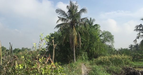 Điều tra vụ án nam thanh niên tử vong trong tư thế treo cổ tại quận 9, TP.HCM