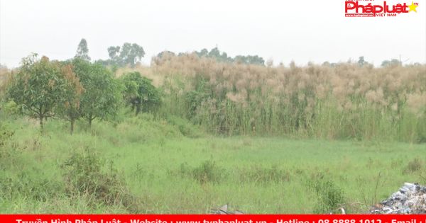 Mất gần 1 tỷ đồng vì bị lừa mua đất quy hoạch