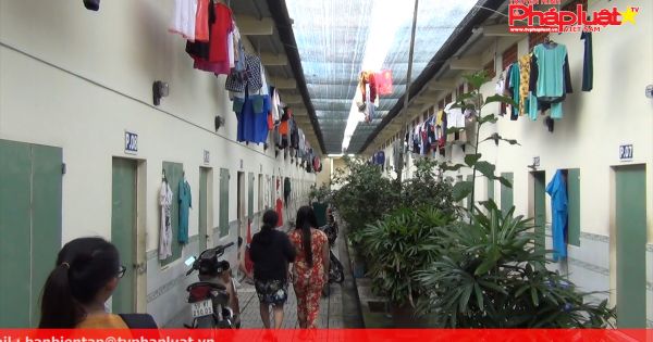 TP HCM khởi tố vụ án hình sự thanh niên cưỡng hiếp nữ sinh lớp 9 mang thai