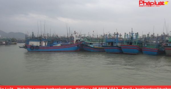 Bình Định lên phương án sơ tán 13.600 hộ dân vùng nguy hiểm