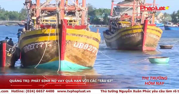 Thị trường hôm nay 06/11/2017