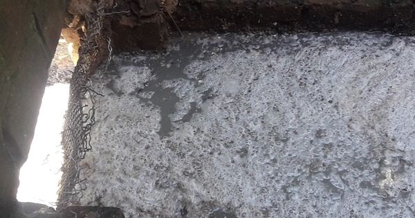 Nghệ An: Nhà máy chế biến mủ cao su gây ô nhiễm môi trường, sao không bị xử lý?