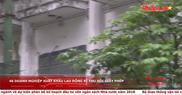 Thị trường hôm nay 08/11/2017